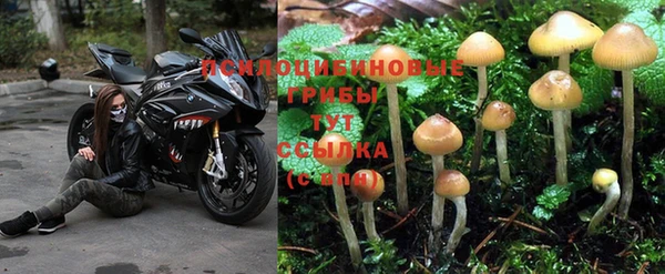 дмт Алексин