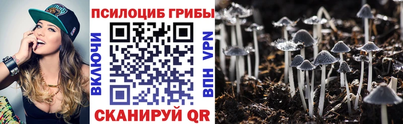 Псилоцибиновые грибы прущие грибы  Анадырь 